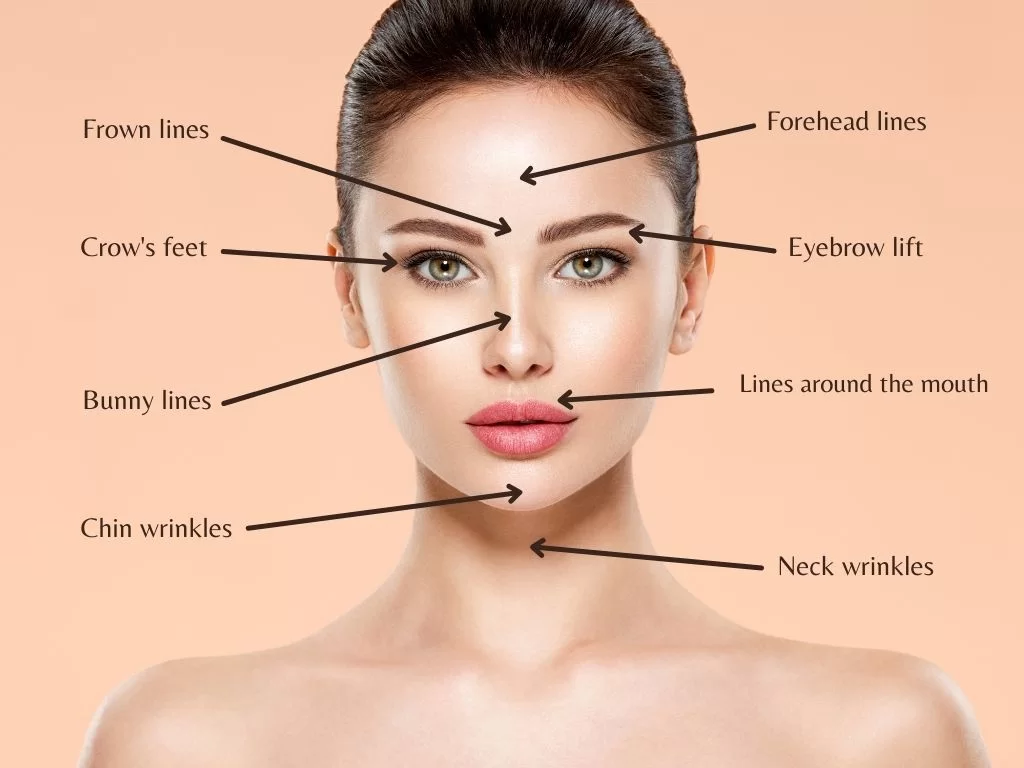 Facial Aesthetics Map
